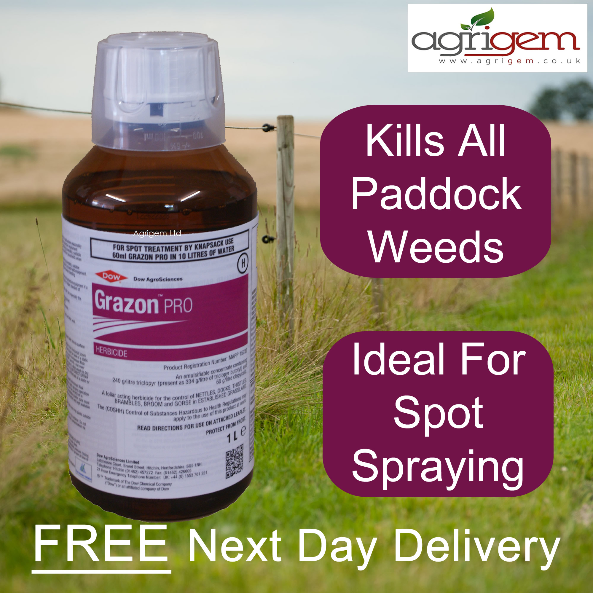 STRONG PADDOCK WEED KILLER GRAZON PRO SAFE TO GRASS KILLS DOCKS