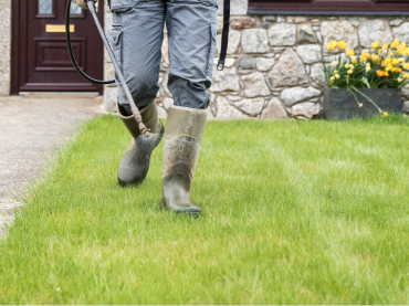 How To Fertilise A Lawn Or Paddock