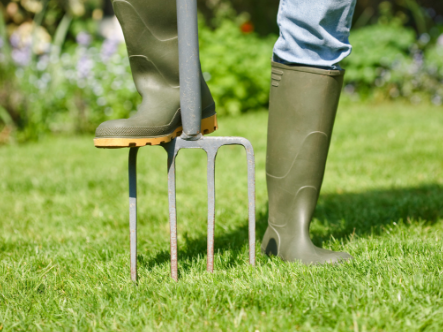 How To Aerate Grass 