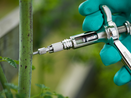 How To Use A Stem Injector 