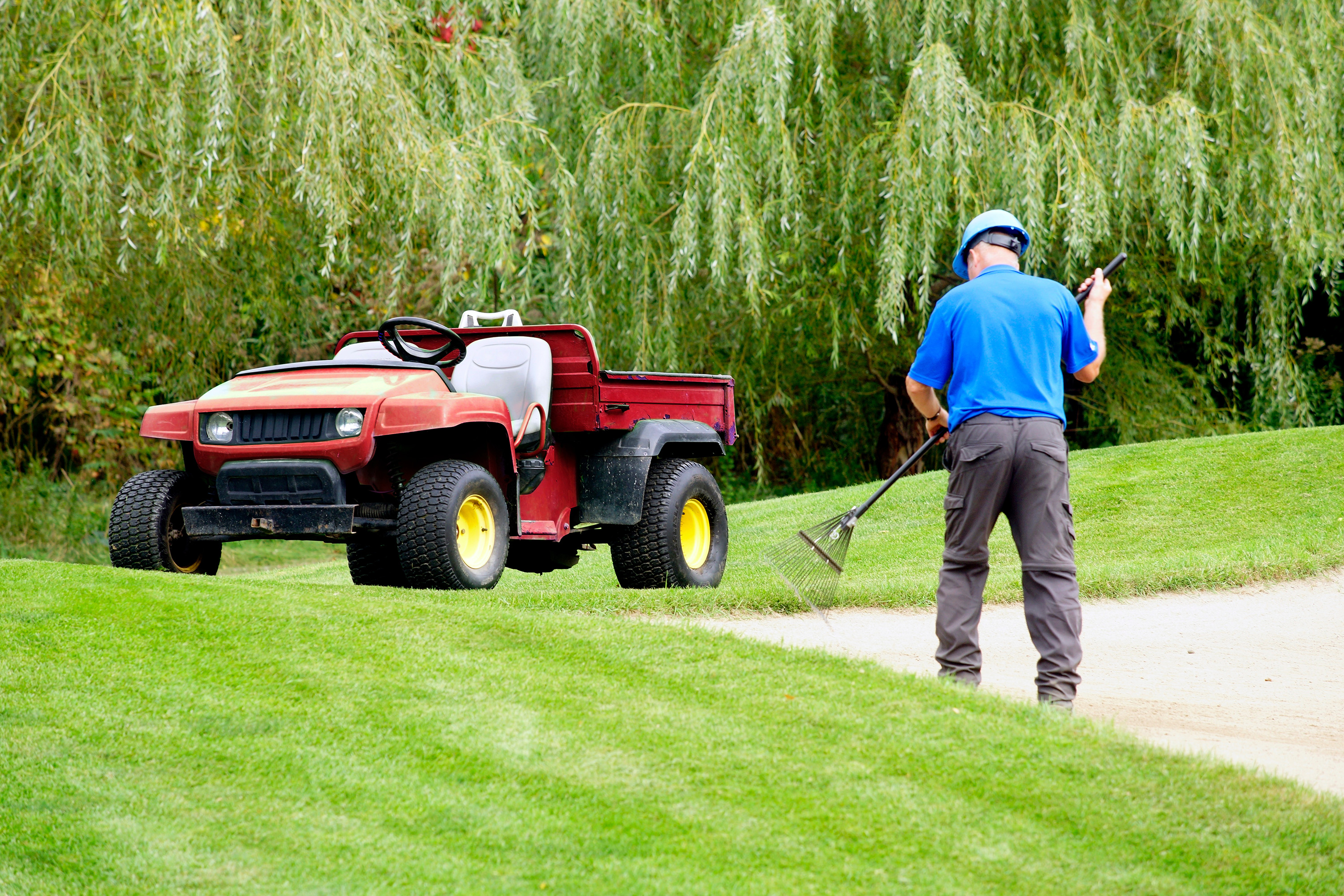 Turf Topdressing – Why, When and How To Do It