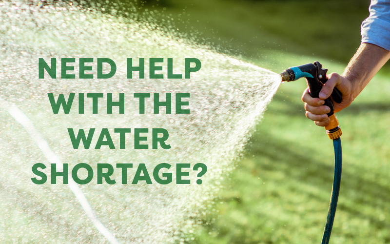 Hosepipe Ban in South East England When Can I Use My Hosepipe