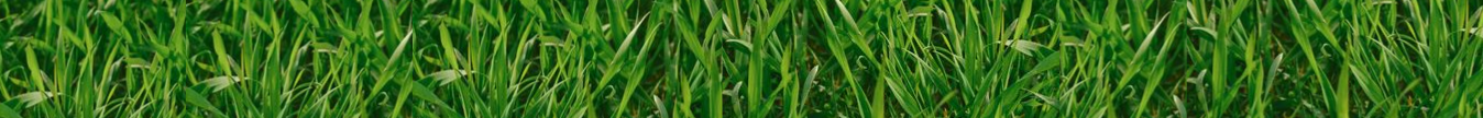 Soluble Fertilisers