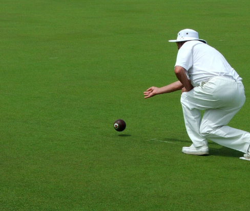 Top Dressing & Loams