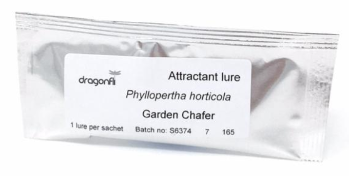 https://www.agrigem.co.uk/media/catalog/product/cache/1/image/1800x/040ec09b1e35df139433887a97daa66f/c/h/chafer_beetle_trap_lure.png
