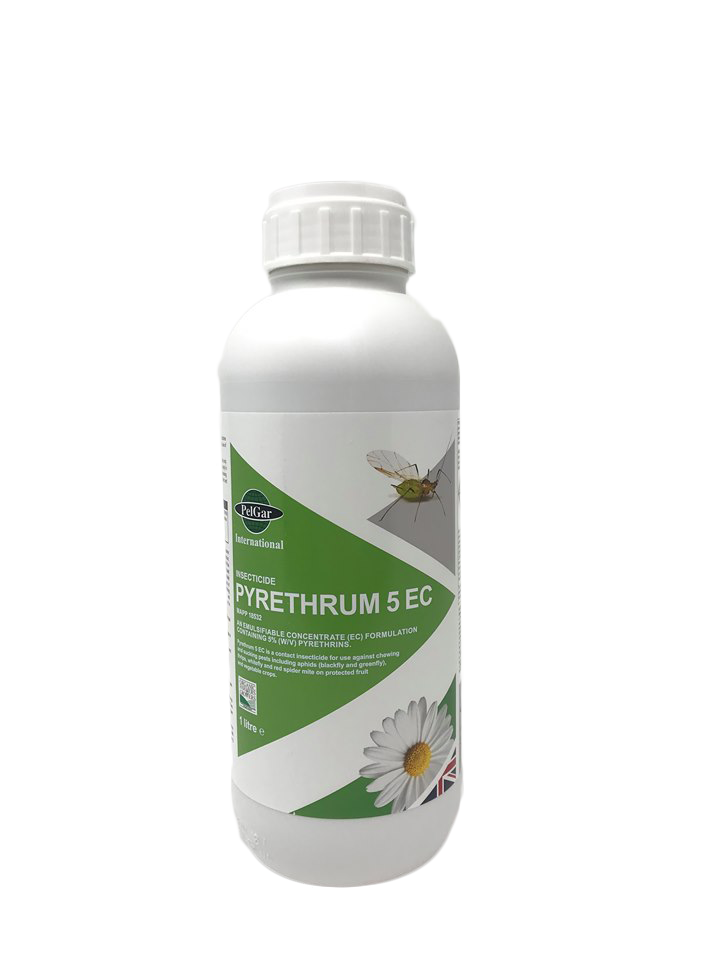 https://www.agrigem.co.uk/media/catalog/product/cache/1/image/1800x/040ec09b1e35df139433887a97daa66f/p/y/pyrethrum_new.png