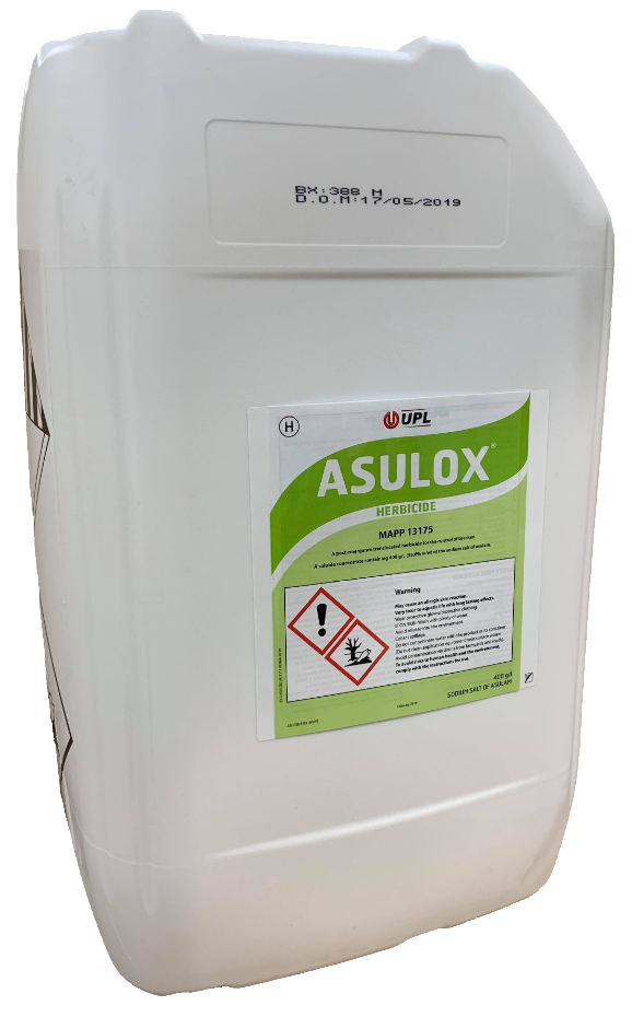Asulox Herbicide 20L - Bracken Control