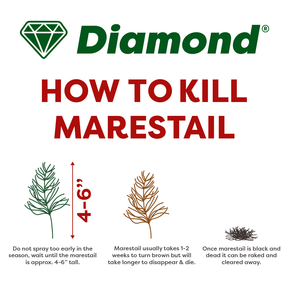 Diamond Total & Horsetail (Marestail) Weed Killer 1L