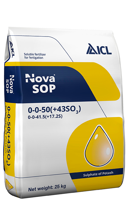 ICL Nova Potassium Sulphate 0-0-50+43SO3