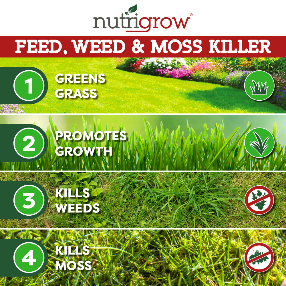 Feed and Weed, Moss Killer for Lawns and Grass 4 in 1 Action 20kg Covers 625m²