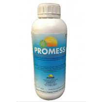 Promess Fungicide 1L - Root Rot Disease & Downey Mildew