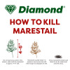 Diamond Horsetail Marestail fast acting weed killer herbicide 1L - How it works