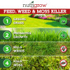 Nutrigrow Four in One, Feed and Weed and Moss Killer for Lawns