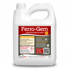 Ferro-Gem Liquid Iron 10L