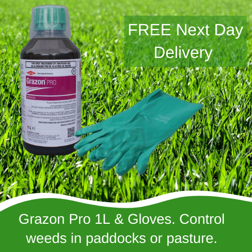 STRONG PADDOCK WEED KILLER GRAZON PRO SAFE TO GRASS KILLS DOCKS