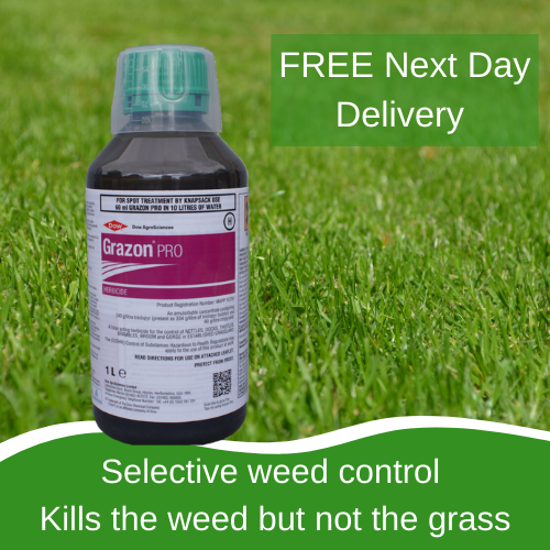 Forte Paddock Désherbant Grazon Pro Safe to Grass tue Docks Thistles