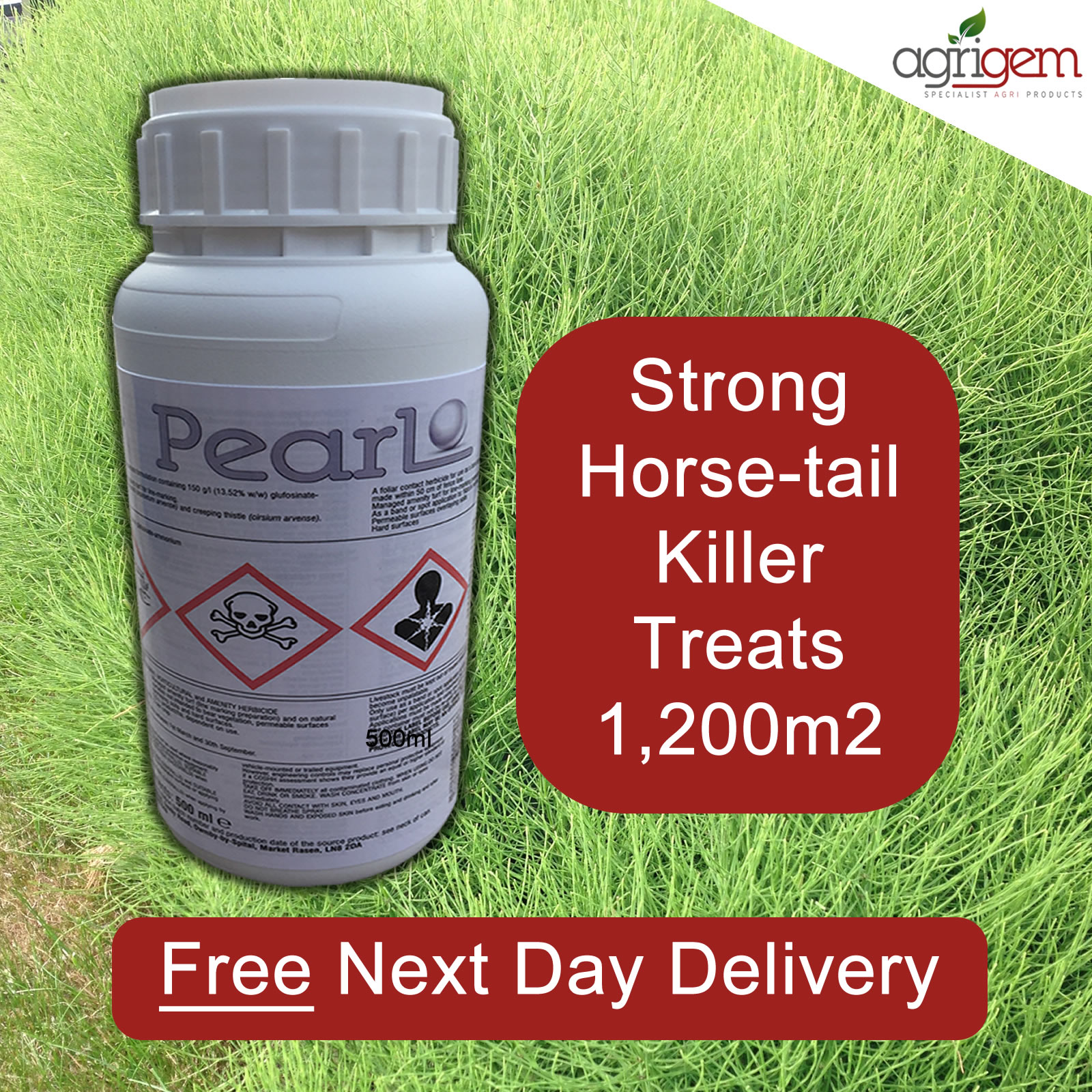 KILL MARES TAIL HORSE TAIL OTHER WEEDS WITH WHIPPET/PEARL WEED KILLER 0